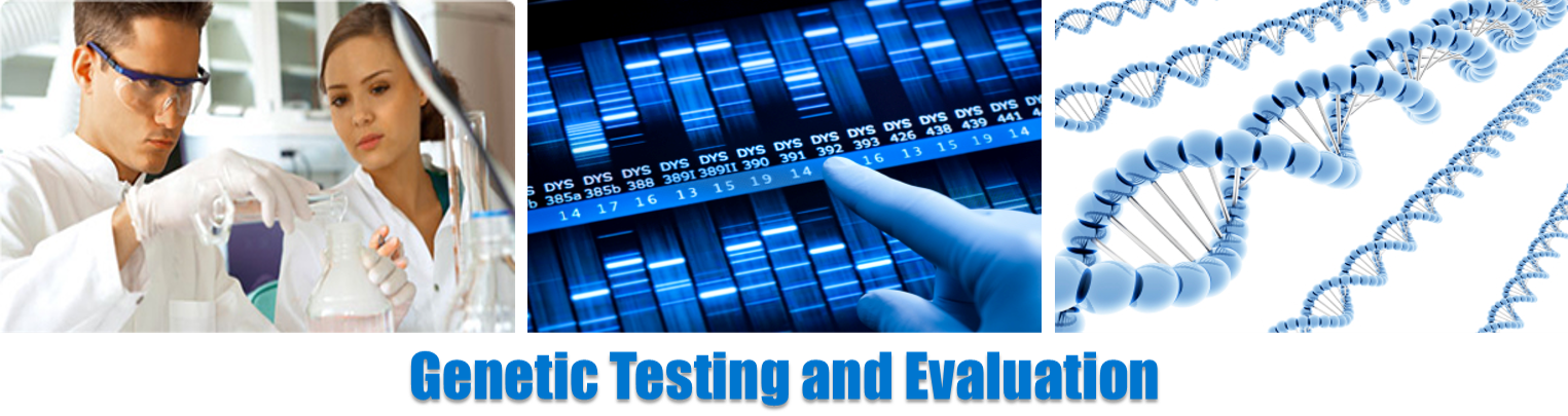 DRX-Genetic Testing-Header